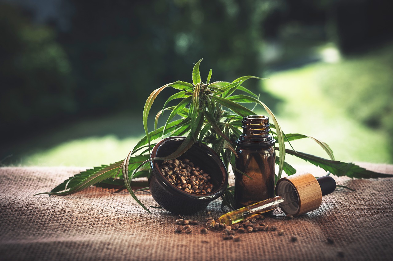hemp plant and extracted oil