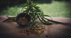 cbd oil
