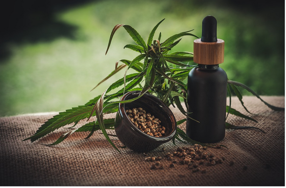 cbd oil has many uses