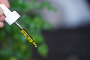 cbd oil in a dropper
