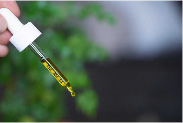 cbd oil in a dropper